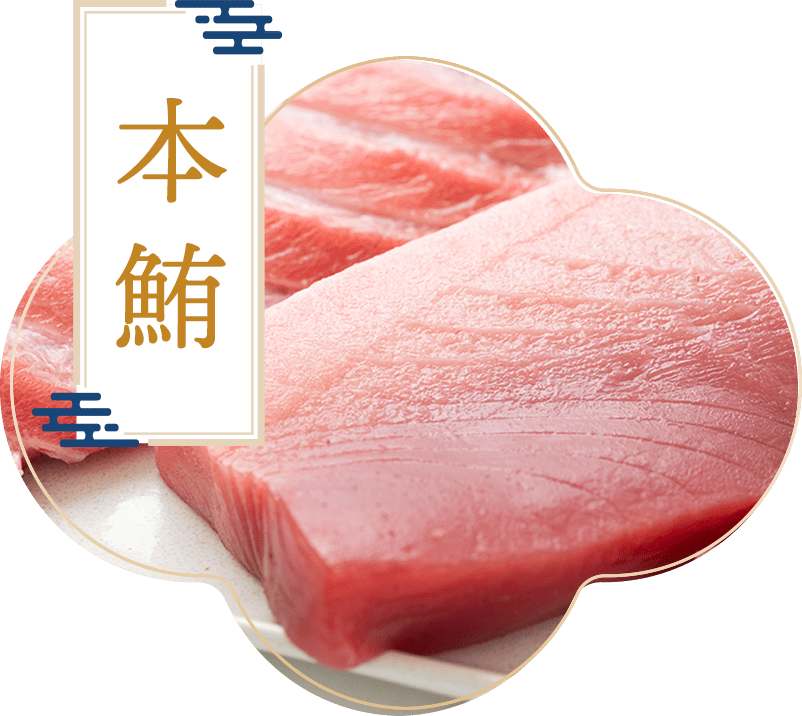 本鮪