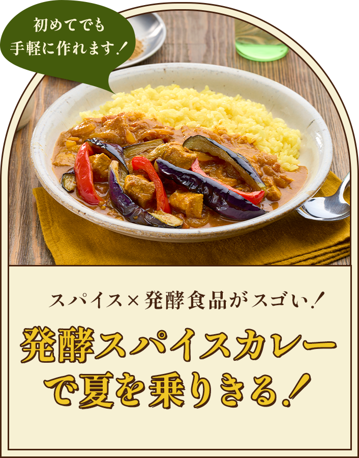 スパイス×発酵食品がスゴい！発酵スパイスカレーで夏を乗りきる！