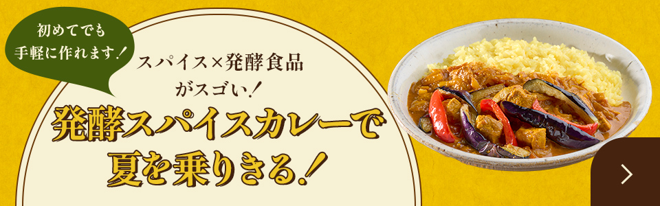 発酵スパイスカレーで夏を乗りきる！
