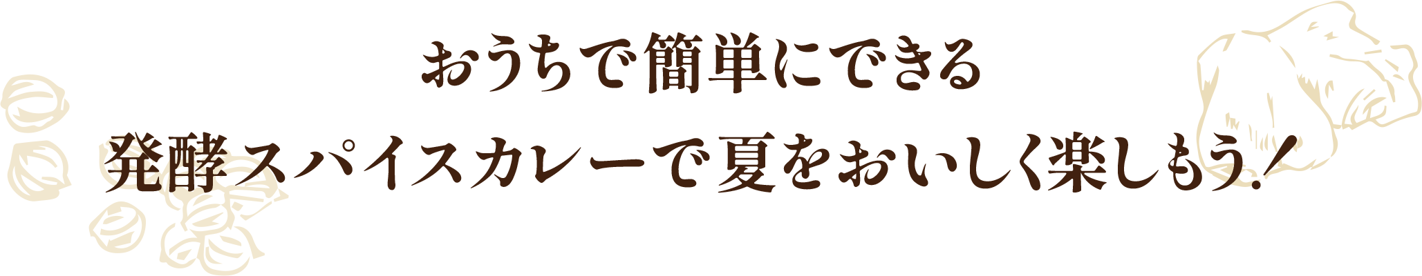 おうちで簡単にできる発酵スパイスカレーで夏をおいしく楽しもう!