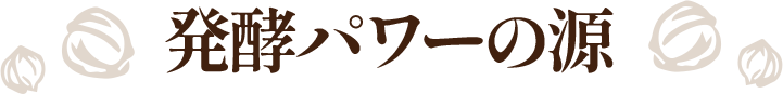 発酵パワーの源