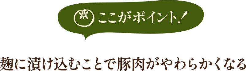 ここがポイント!