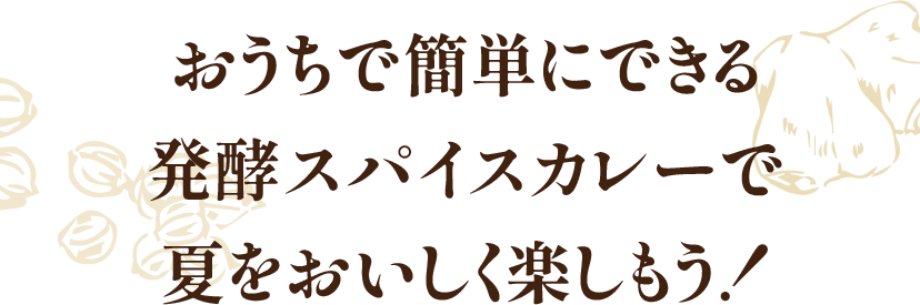 おうちで簡単にできる発酵スパイスカレーで夏をおいしく楽しもう!