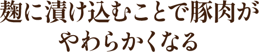 ここがポイント!