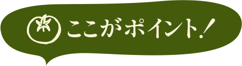 ここがポイント!