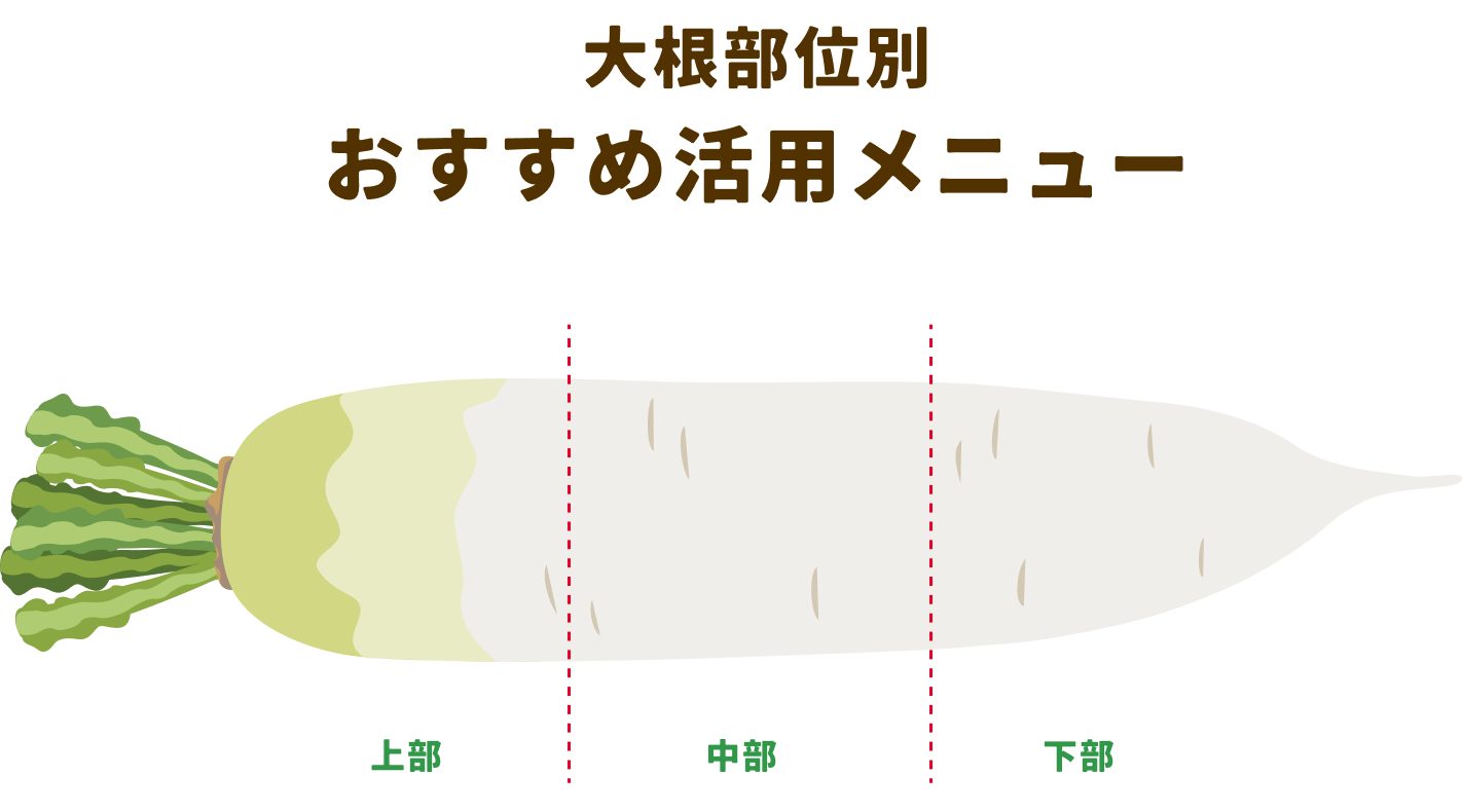 大根部位別おすすめ活用メニュー