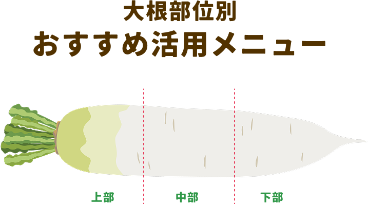 大根部位別おすすめ活用メニュー
