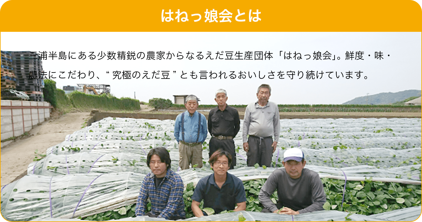 はねっ娘会とは 三浦半島にある少数精鋭の農家からなるえだ豆生産団体「はねっ娘会」。 鮮度・味・農法にこだわり、“究極のえだ豆”とも言われるおいしさを守り続けています。