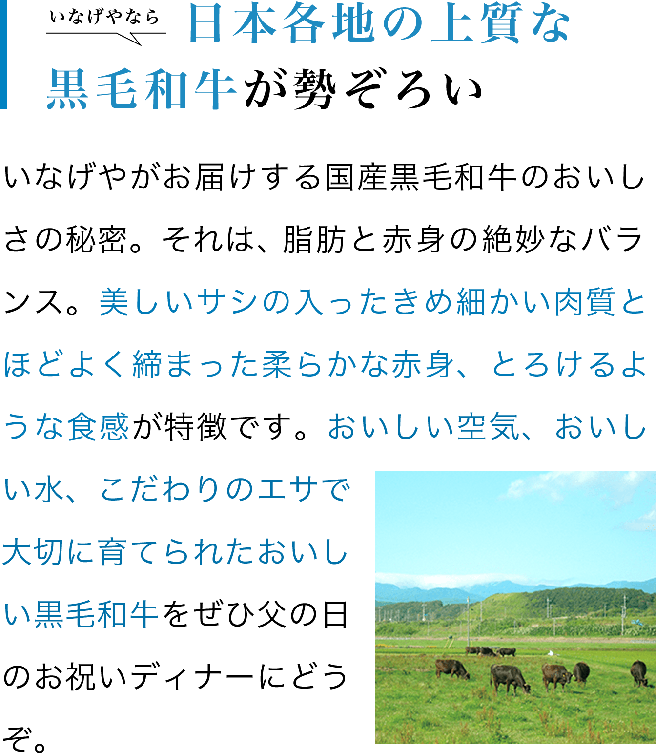 日本各地の上質な黒毛和牛が勢ぞろい