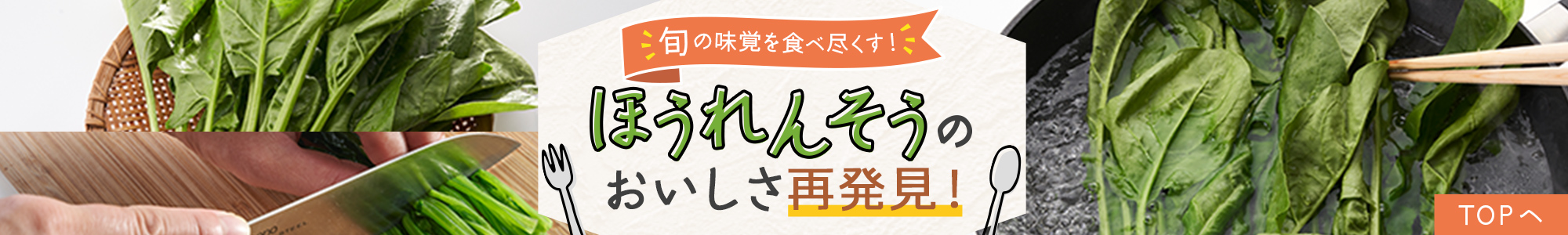旬の味覚を食べ尽くす！ほうれんそうのおいしさ再発見！