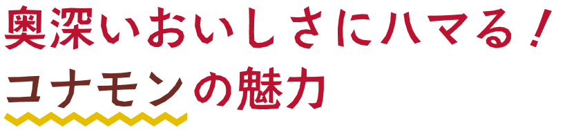 コナモンの魅力
