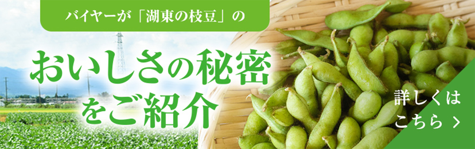 秋田県産湖東の枝豆 おすすめレシピ