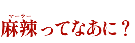麻辣ってなあに？