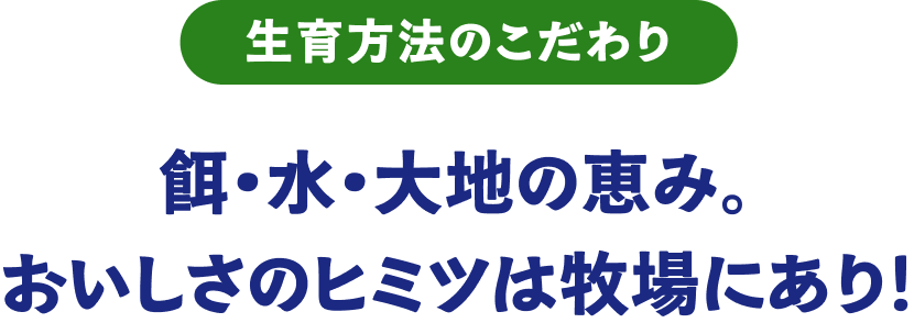 生育方法のこだわり。餌・水・大地の恵み。おいしさのヒミツは牧場にあり！