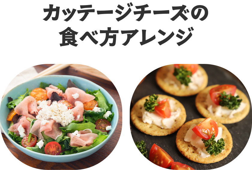 カッテージチーズの食べ方アレンジ