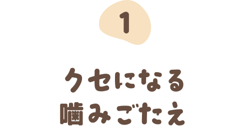 ①クセになる噛みごたえ