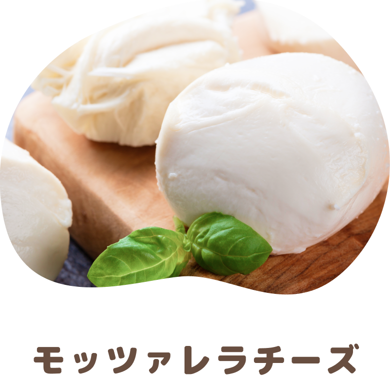モッツァレラチーズ