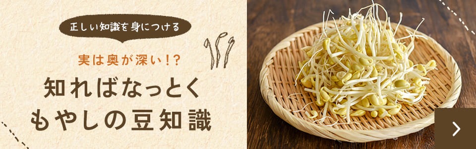 実は奥が深い！？知ればなっとくもやしの豆知識