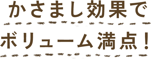 かさまし効果でボリューム満点！