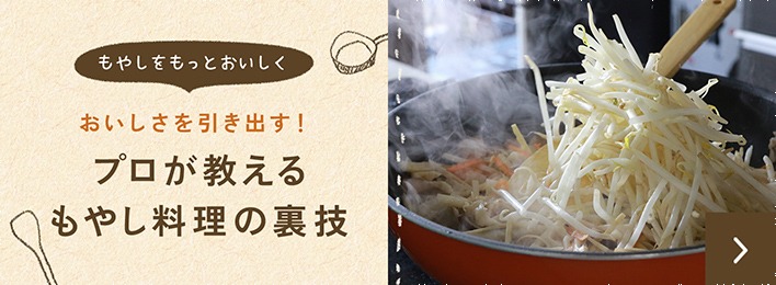 おいしさを引き出す！プロが教えるもやし料理の裏技