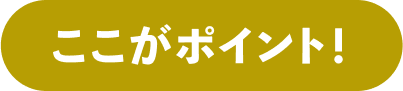 ここがポイント!