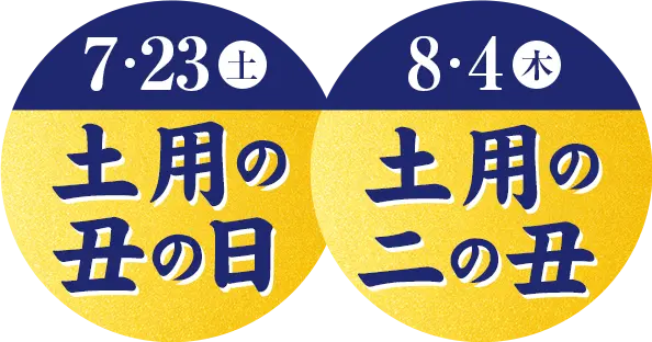 ニッポンの夏を元気に！　いなげやのうなぎ