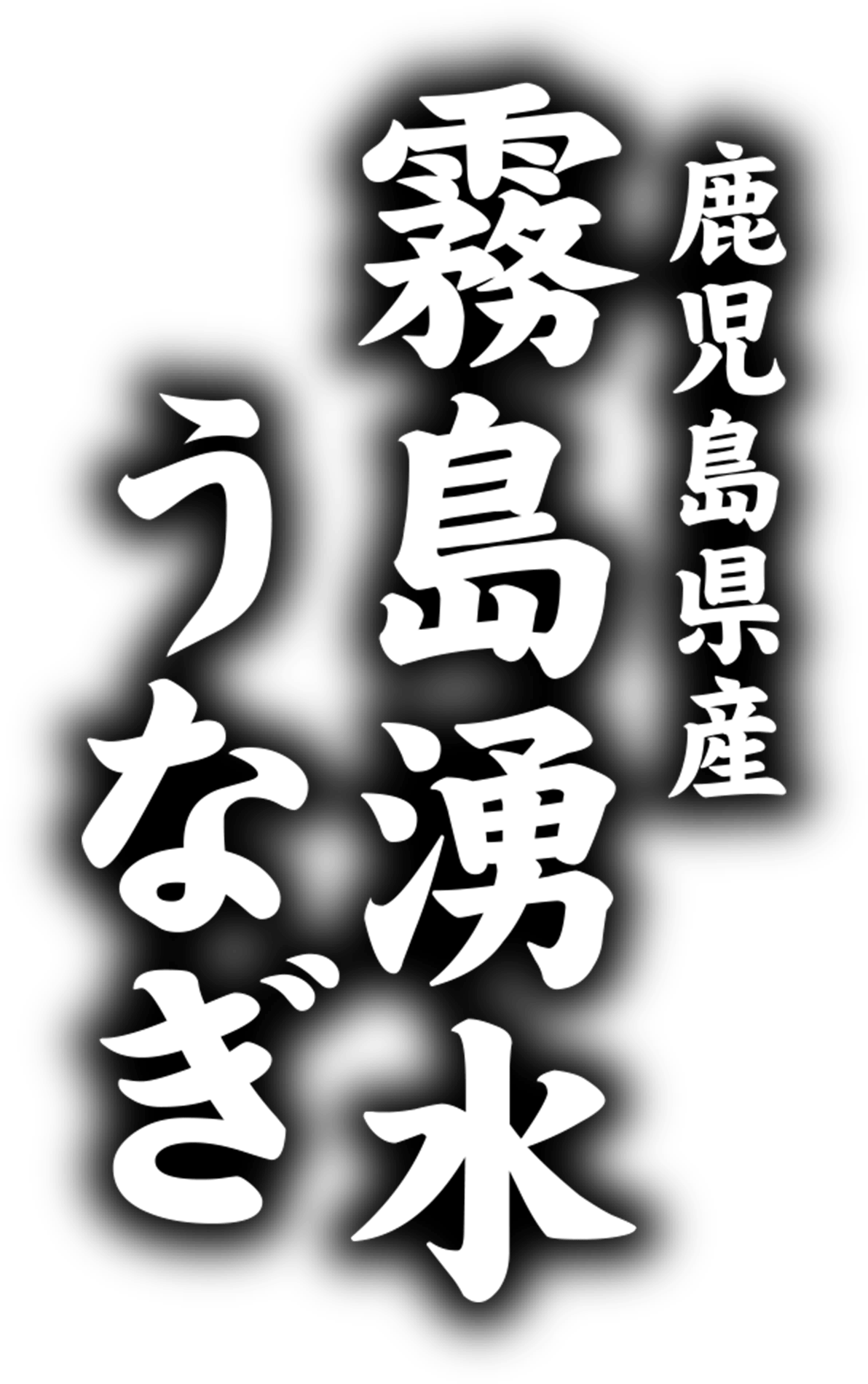 鹿児島県産霧島湧水うなぎ