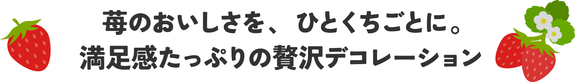 苺のおいしさを、ひとくちごとに。満足感たっぷりの贅沢デコレーション