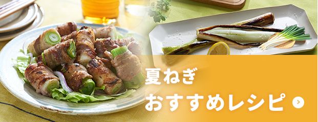茨城県岩井産の夏ねぎをまるごと食べ尽くす！