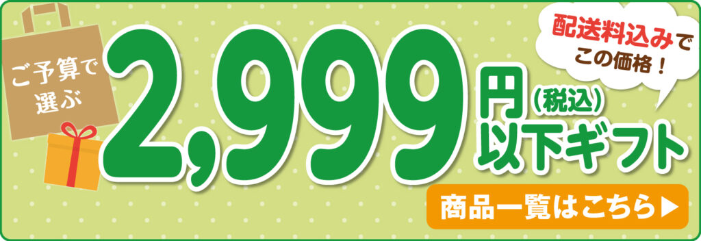 2999円以下ギフト