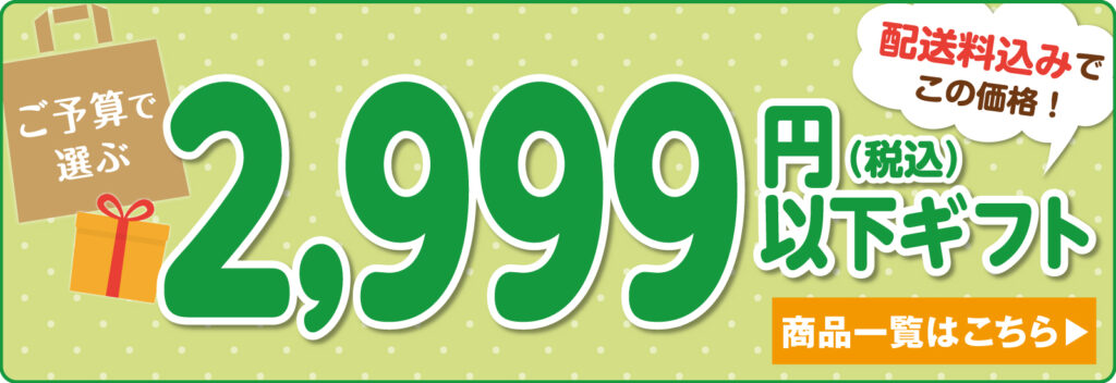2999円以下ギフト
